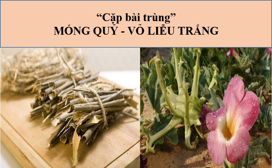 Dấu hiệu Thoái hóa cột sống cổ